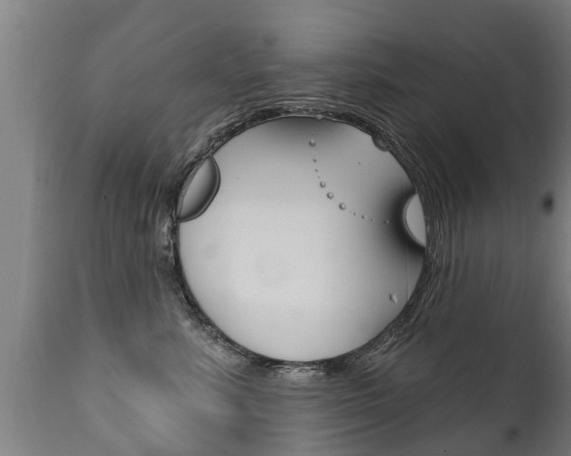 X0000111910619200907271036