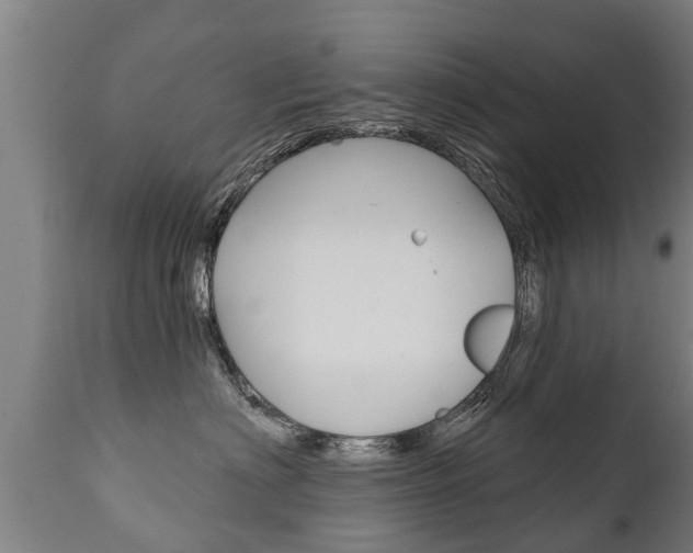 X0000111910622200907271036