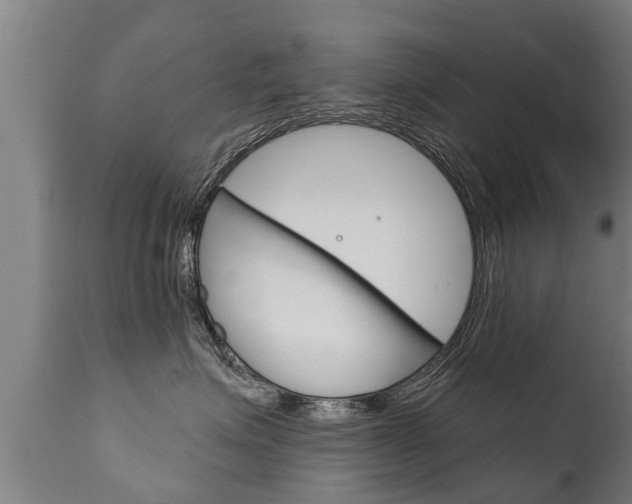 X0000111910623200907271036