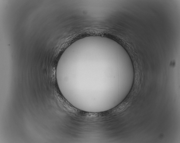 X0000111910624200907271036