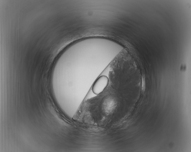 X0000111910627200907271036
