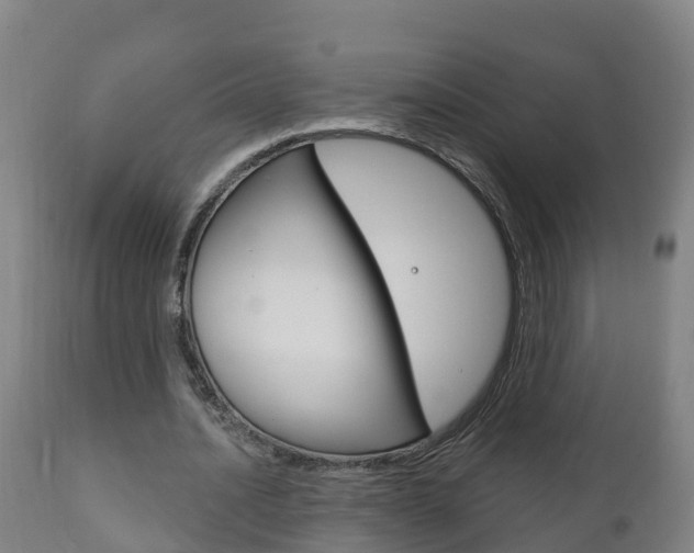 X0000111910628200907271036