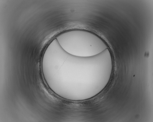 X0000111910629200907271036
