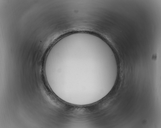 X0000111910631200907271036