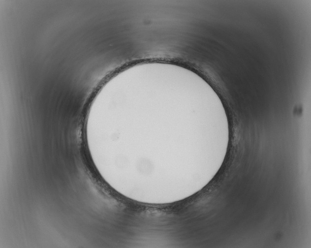 X0000111910632200907271036