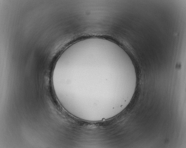 X0000111910635200907271036