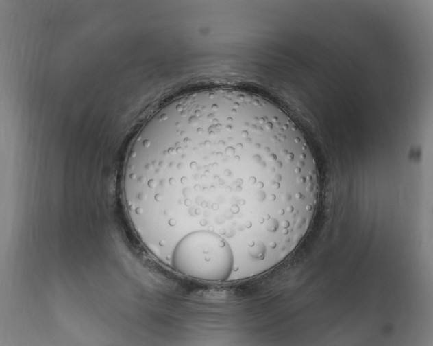 X0000111910639200907271036