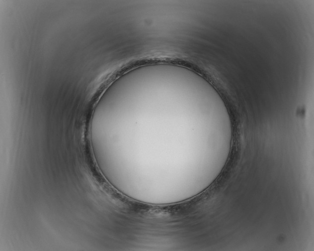 X0000111910640200907271036