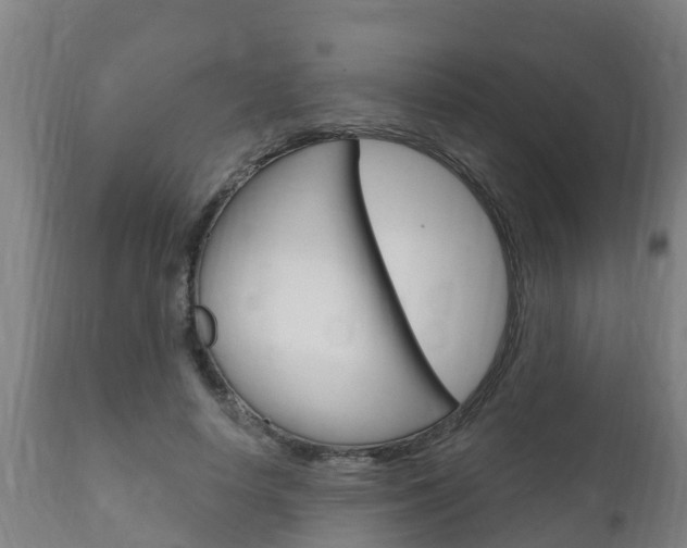 X0000111910642200907271036