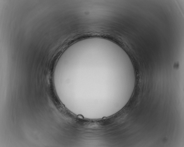 X0000111910643200907271036