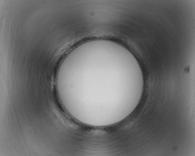 X0000111910644200907271036