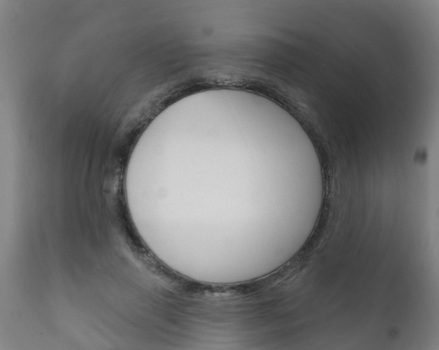 X0000111910645200907271036