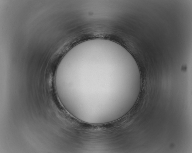 X0000111910646200907271036