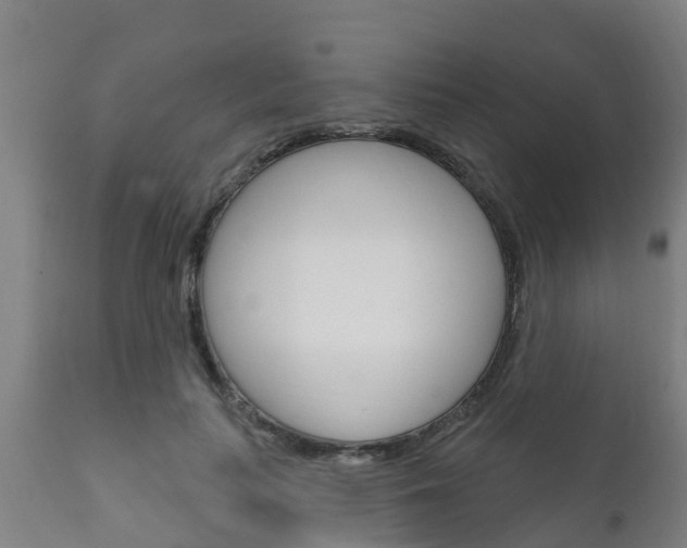 X0000111910647200907271036