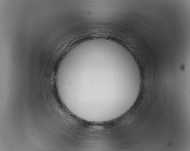 X0000111910649200907271036