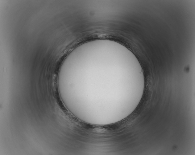 X0000111910650200907271036
