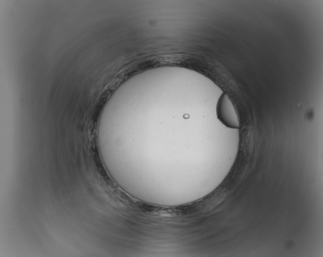 X0000111910655200907271036