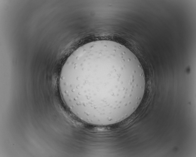 X0000111910662200907271036