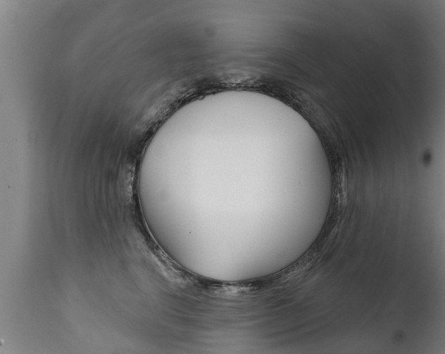 X0000111910664200907271036