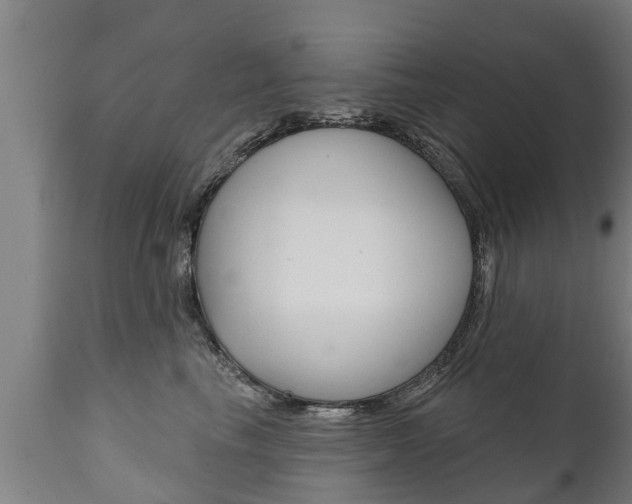 X0000111910665200907271036