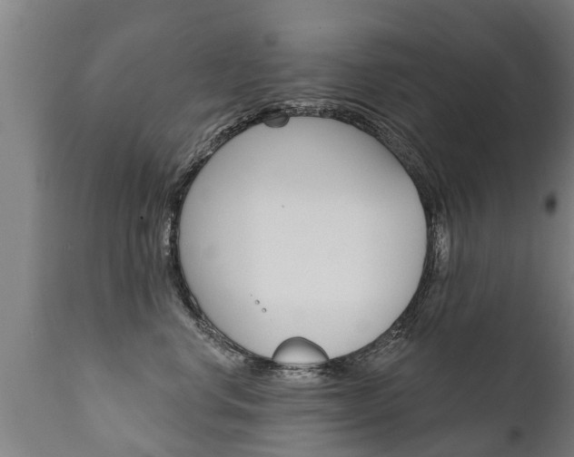 X0000111910668200907271036