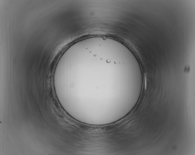 X0000111910675200907271035
