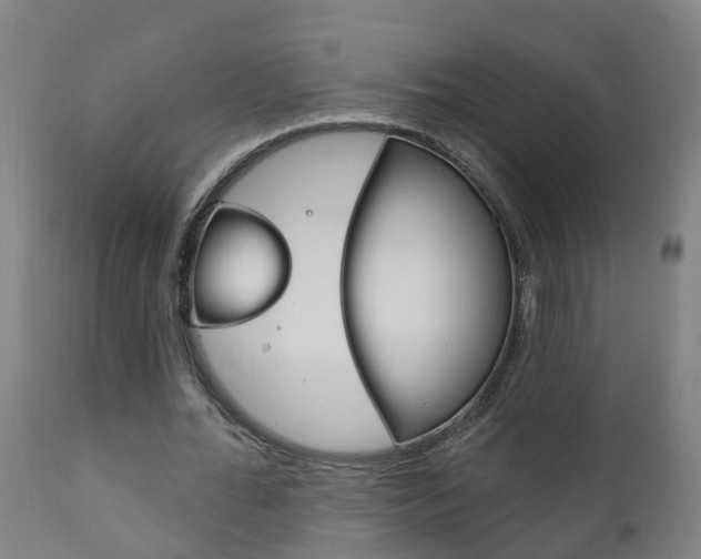 X0000111910676200907271035