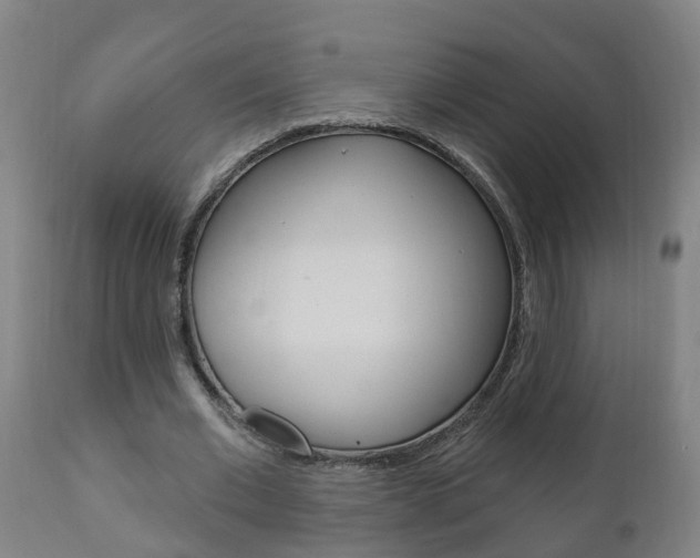 X0000111910677200907271035