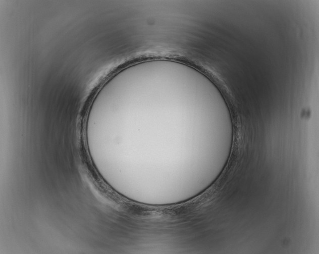 X0000111910678200907271035