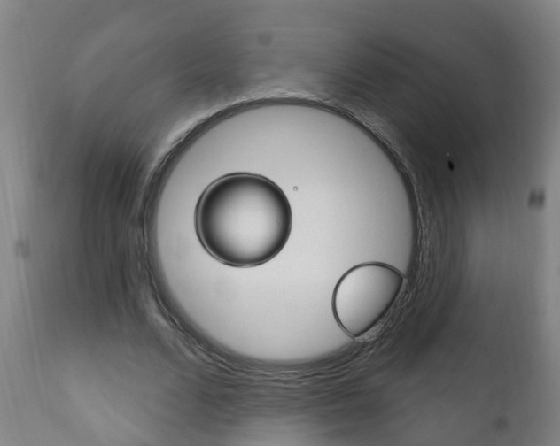 X0000111910680200907271035