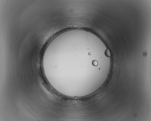 X0000111910683200907271035