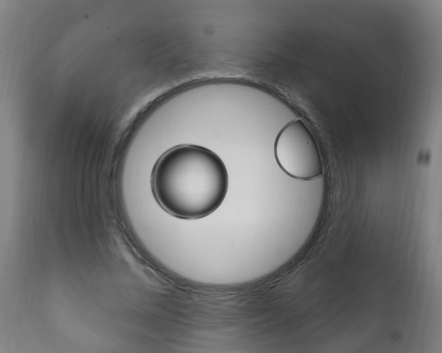 X0000111910684200907271035