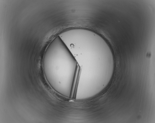 X0000111910685200907271035