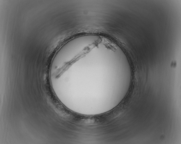 X0000111910687200907271035