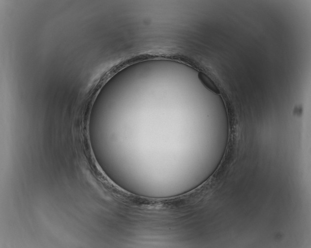 X0000111910688200907271035