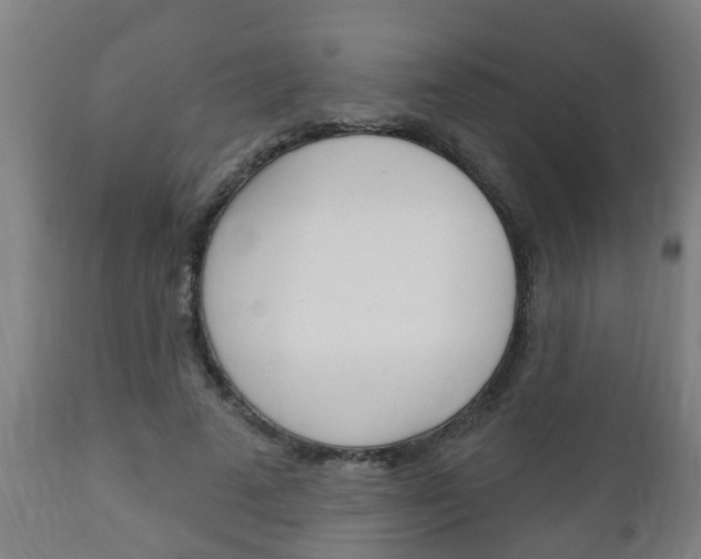 X0000111910689200907271035