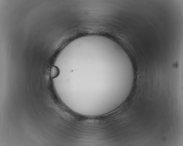 X0000111910691200907271035