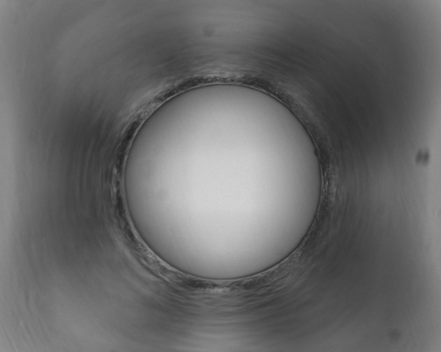 X0000111910692200907271035