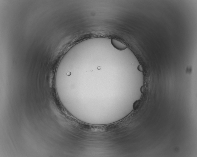 X0000111910694200907271035