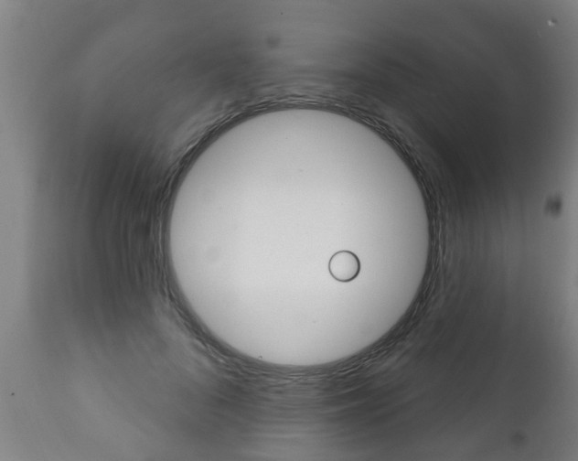 X0000111910696200907271035