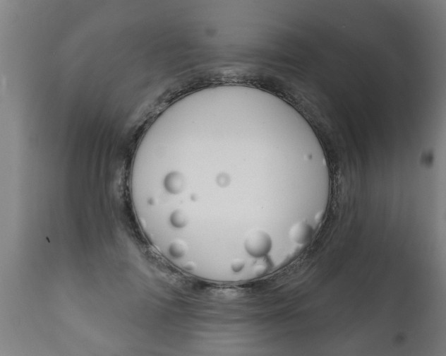 X0000111910698200907271035