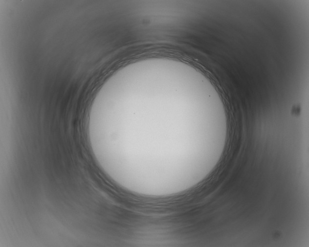 X0000111910701200907271035