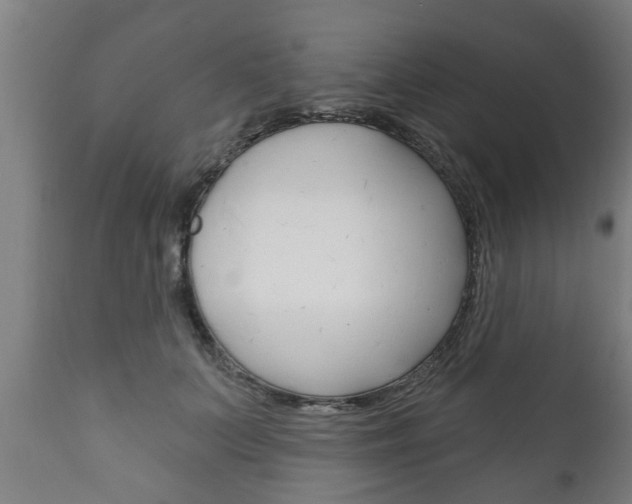 X0000111910703200907271035