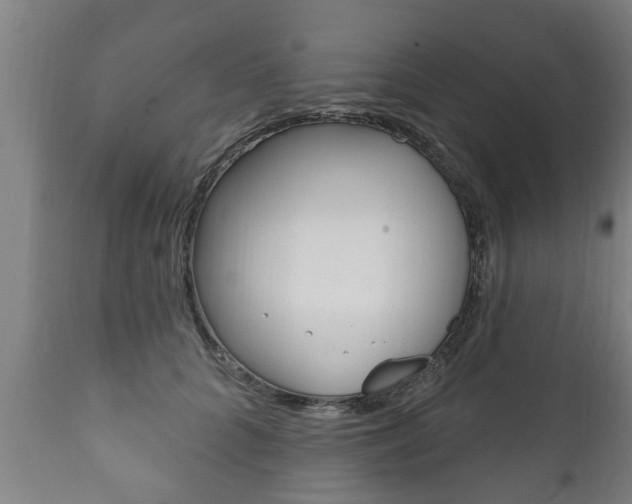X0000111910704200907271035
