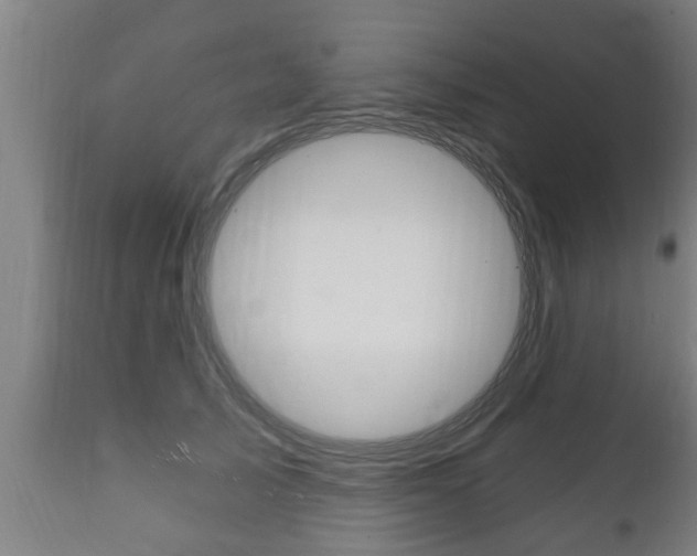 X0000111910705200907271035