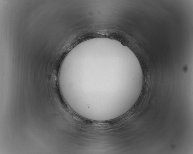 X0000111910707200907271035