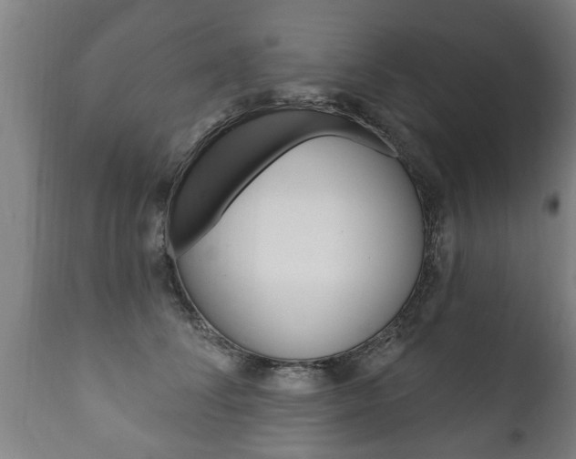 X0000111910708200907271035