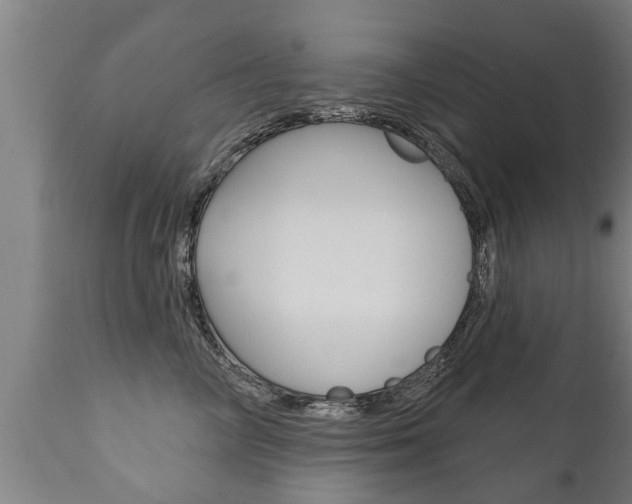 X0000111910714200907271035