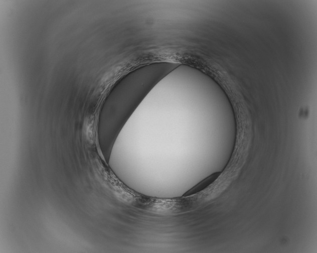 X0000111910720200907271035