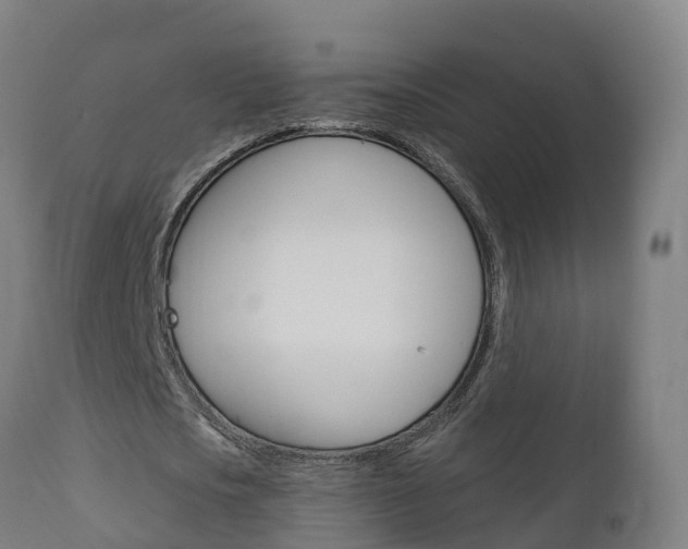 X0000111910721200907271034